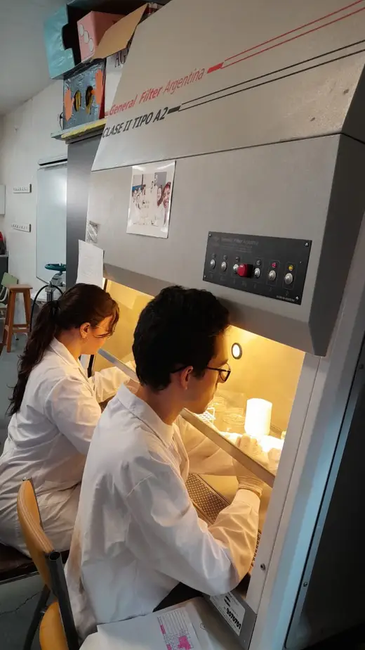 Estudiantes trabajando en una cabina de seguridad biológica