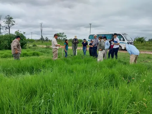 Estudiantes en un pastizal durante una salida a campo