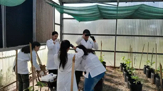 Estudiantes trabajando con plantines en el invernadero del INTA Sáenz Peña