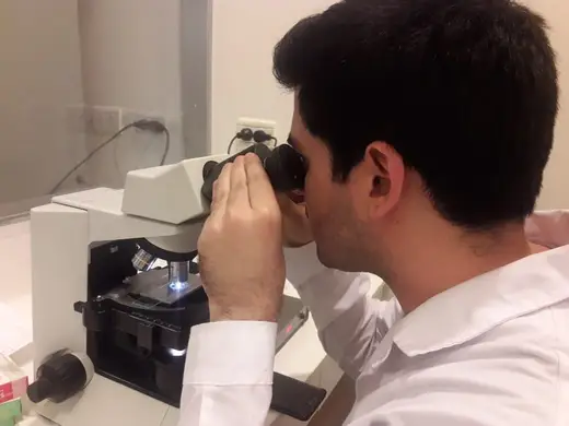 Estudiante observando una muestra en el microscopio